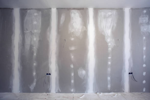 Best Drywall Sanding and Smoothing  in Essex, IL